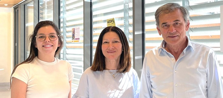 Aportan las primeras evidencias experimentales sobre la eficacia de la terapia génica 'in vivo' para la anemia de Fanconi
A través de ciberisciii.es/noticias/aport…