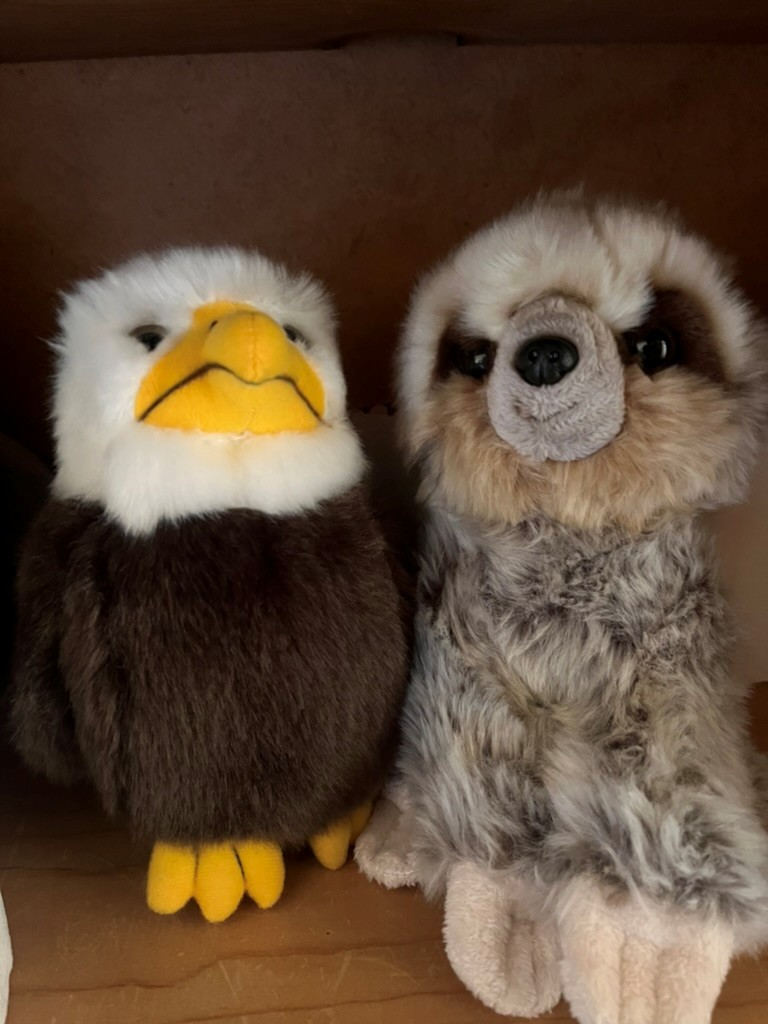 Great pictures of two of our Mangold stuffed animals. Many thanks to <a href="/UmanskyVer53724/">Vera Umansky</a> for this great realization.

Visit our stand during a conference to get one of the coveted collector's items.

mangold-international.com

#eagle #sloth #observation #behaviorresearch