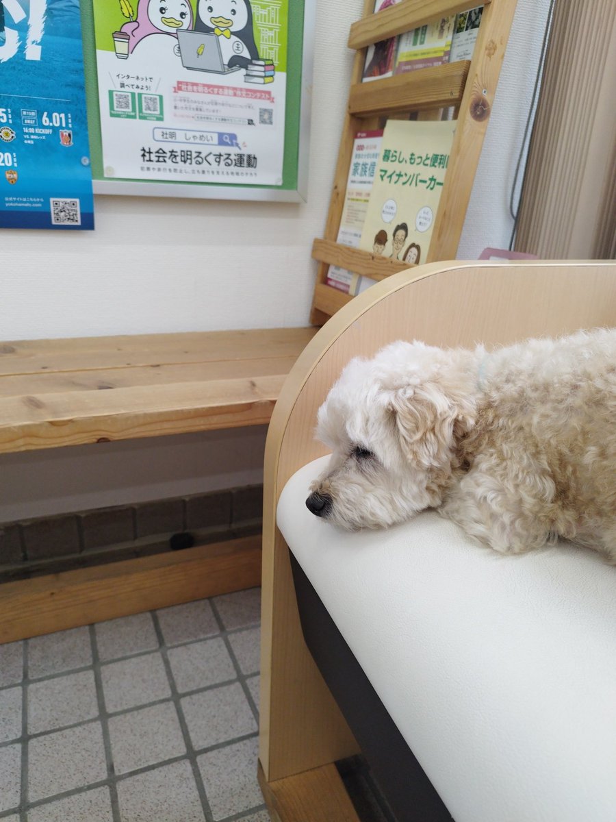 srlouji's tweet photo. 社労士　廃業率　肌感覚で、70%〜80％くらいかな　大学の講義で、社労士　営業できないとですよね　と大学生にいわれたことがあった　逆に言えば　営業できれば
廃業にならないということ　開業して、営業しなきゃと思ってるが、気がついたら　1年たち廃業とか　頭でわかっていても、心理的抵抗があり https://t.co/S2XkgWVwxz