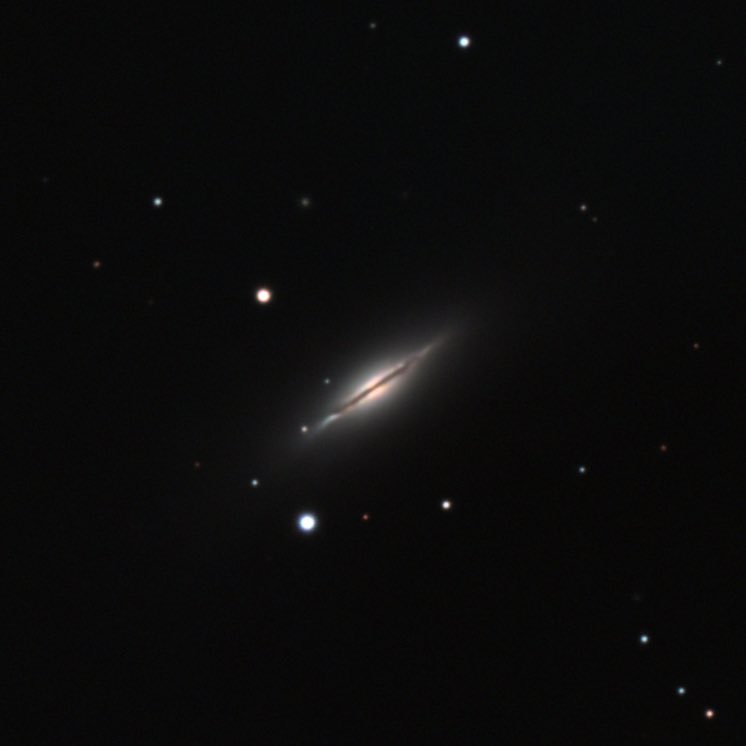 kunino0606's tweet photo. ほんの2時間ほど晴れました
#m102 の候補の一つ #ngc5866 #SpindleGalaxy 
・synscanとninaで導入時のplatesolveタイミングの不具合は最新のドライバだと解決したみたい
・c8&amp;レデューサーに出る輪っかは月が無ければ大丈夫みたい
・sv605ccの各種ノイズはninaのノイズ低減が効いてそう https://t.co/sDbBkBUwMH