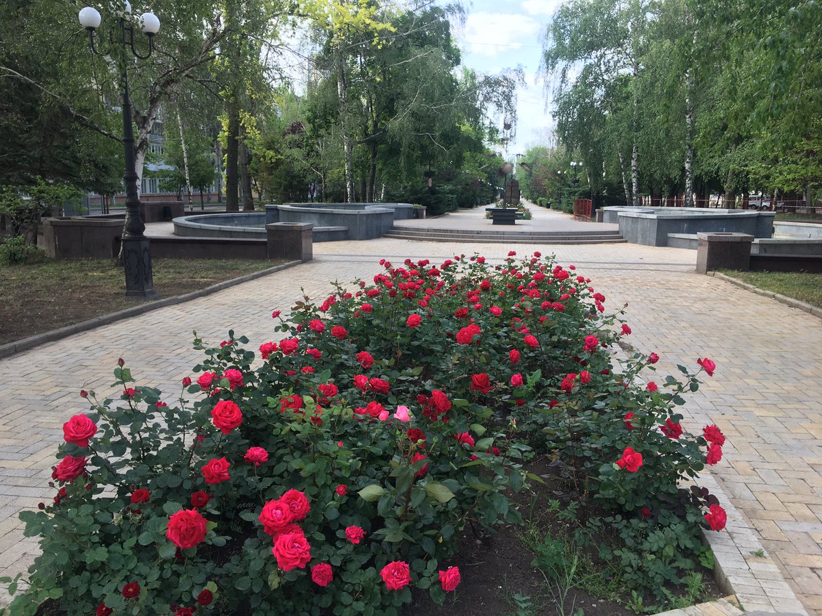 Asklepy's tweet image. Любимый наш Донецк ❤️