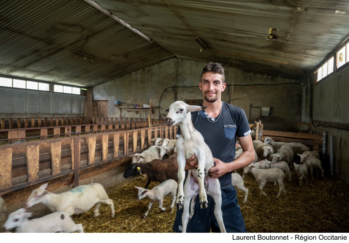Occitanie's tweet photo. Du champ à l'assiette, la #Région agit pour le #bio ❗️
Elle soutient les agriculteurs et valorise les produits locaux et de qualité 😋
📆 Jusqu'au 15/06, la semaine de la #bio en #Occitanie met à l'honneur celles et ceux qui nous nourrissent ↩️
https://t.co/MnrUHOHDMC https://t.co/0a1imsdn8M