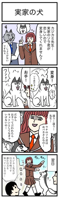 人狼先生の実践変身学⑦🐺
『実家の犬』

#4コマ 