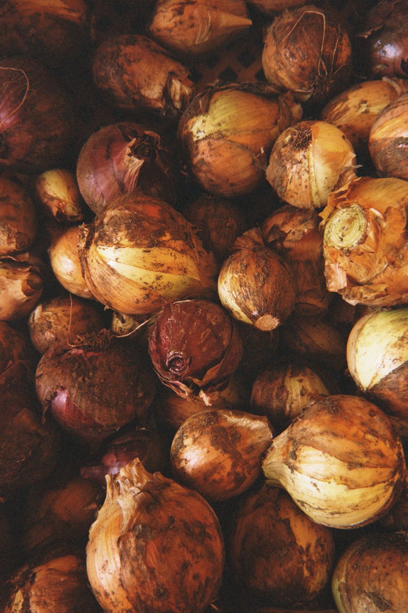 JoshuaTree_11's tweet image. 