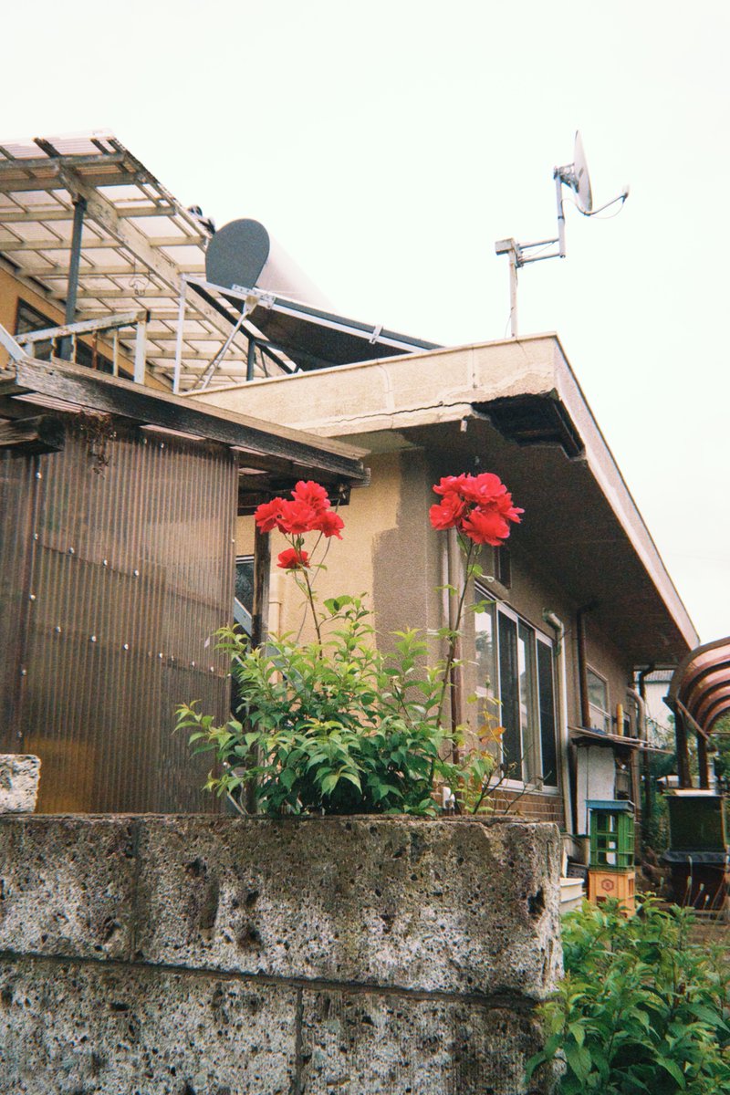 JoshuaTree_11's tweet image. 