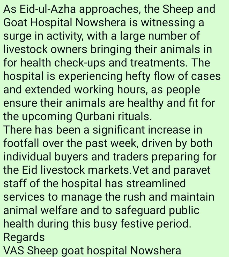 SheepDistr26375's tweet photo. #Eiduladha2025 rush at Sheep goat hospital Nowshera. 
#Healthinspection.
#Animalwelfare
#Publichealth
#Qurbanilivestock

@srinagaradmin 
@DirSHDK https://t.co/4yVsntAZDs