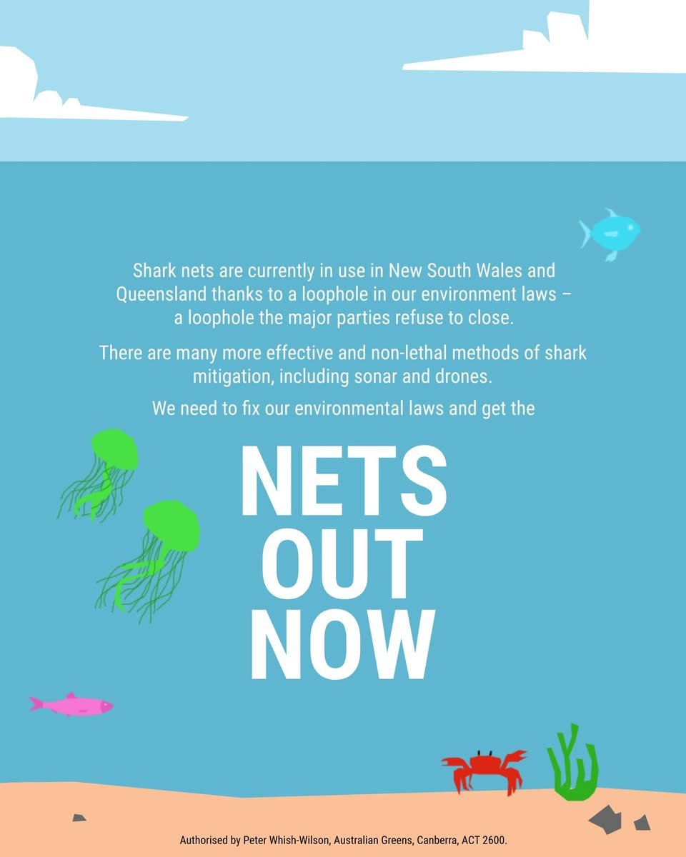 SharkSafetyWA's tweet photo. #NetsOutNow #Qld https://t.co/ydyT8FOI7s