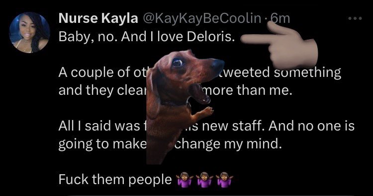 suhlehrehs's tweet image. this her top shooter #wrapitup