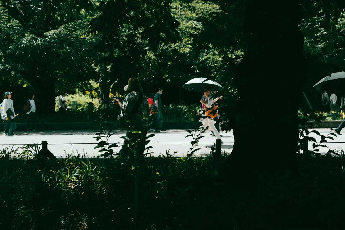 willow_down_'s tweet photo. #写真 #カメラ #写真日記 #photo #photography #XT5 #カメラ越しの私の世界 #ファインダー越しの私の世界 #写真で伝えたい私の世界 #キリトリセカイ #散歩 #上野 

 https://t.co/CHlBJlbxuc https://t.co/YLiFFpPczL