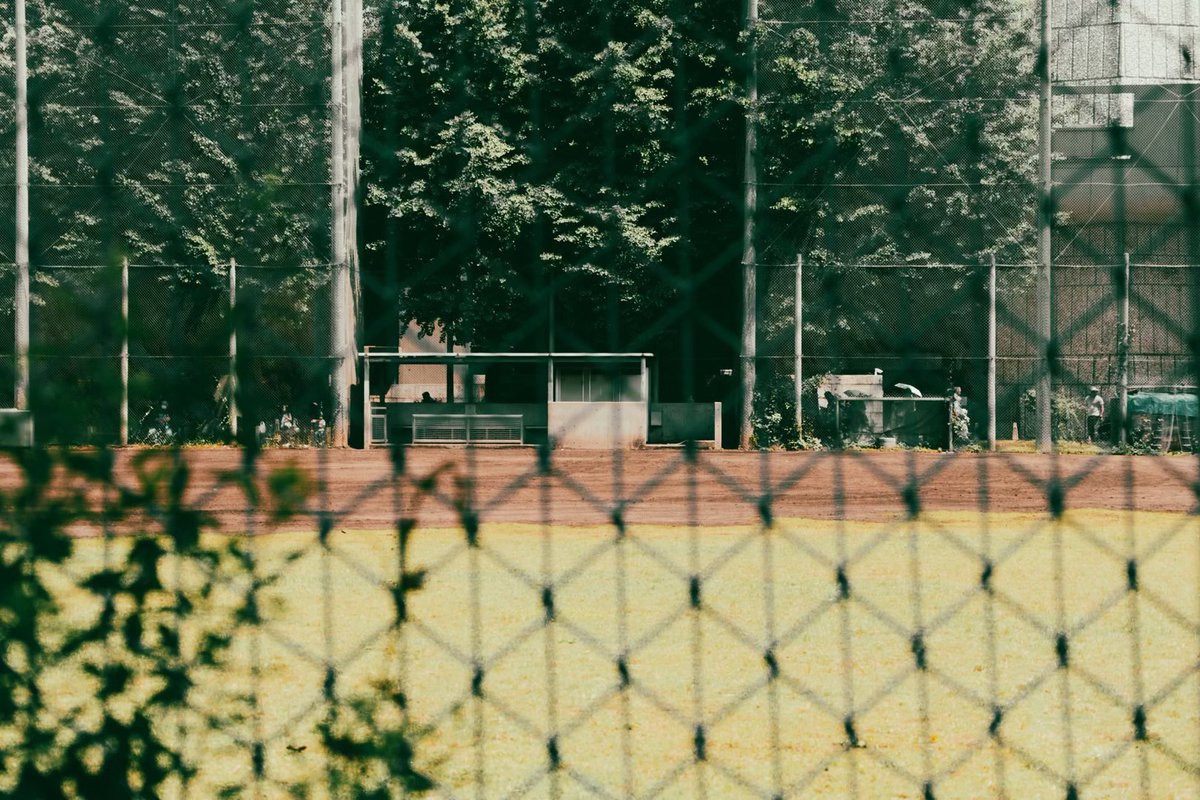 willow_down_'s tweet photo. #写真 #カメラ #写真日記 #photo #photography #XT5 #カメラ越しの私の世界 #ファインダー越しの私の世界 #写真で伝えたい私の世界 #キリトリセカイ #散歩 #上野 

 https://t.co/CHlBJlbxuc https://t.co/YLiFFpPczL