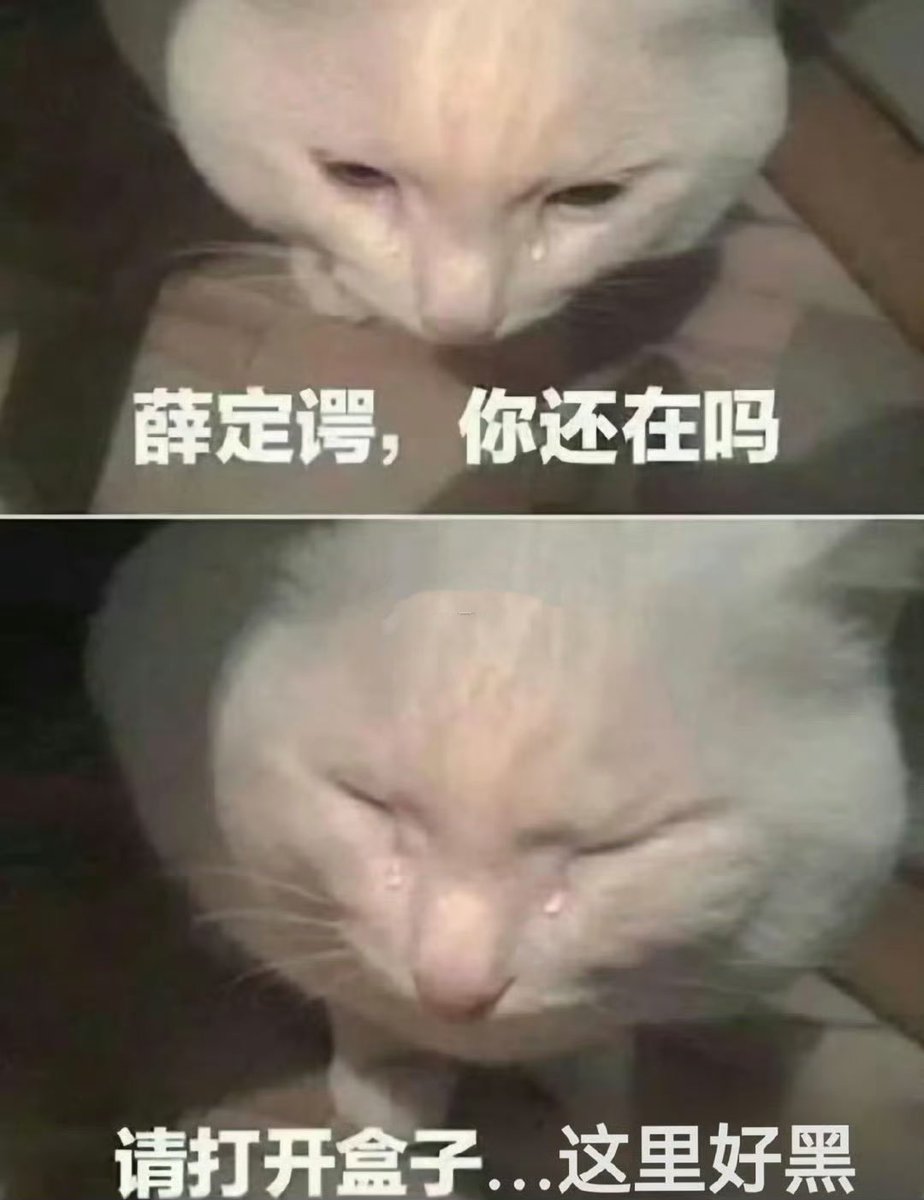 岛田半藏 (@codyhunk) on Twitter photo 