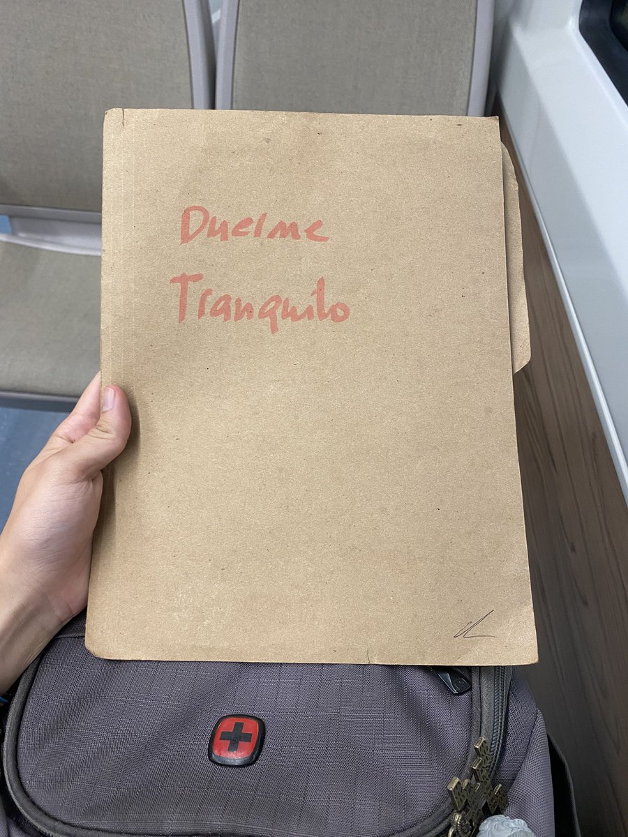 Me han pedido un favor. Tengo que ir a cierto lugar a dejar ciertos papeles. Y ya. Pero algo me da estar sentado en un tren de camino a otra ciudad, con un folder entre las manos que me fue dado en circunstancias extrañas, y que me dice: «Duerme Tranquilo».