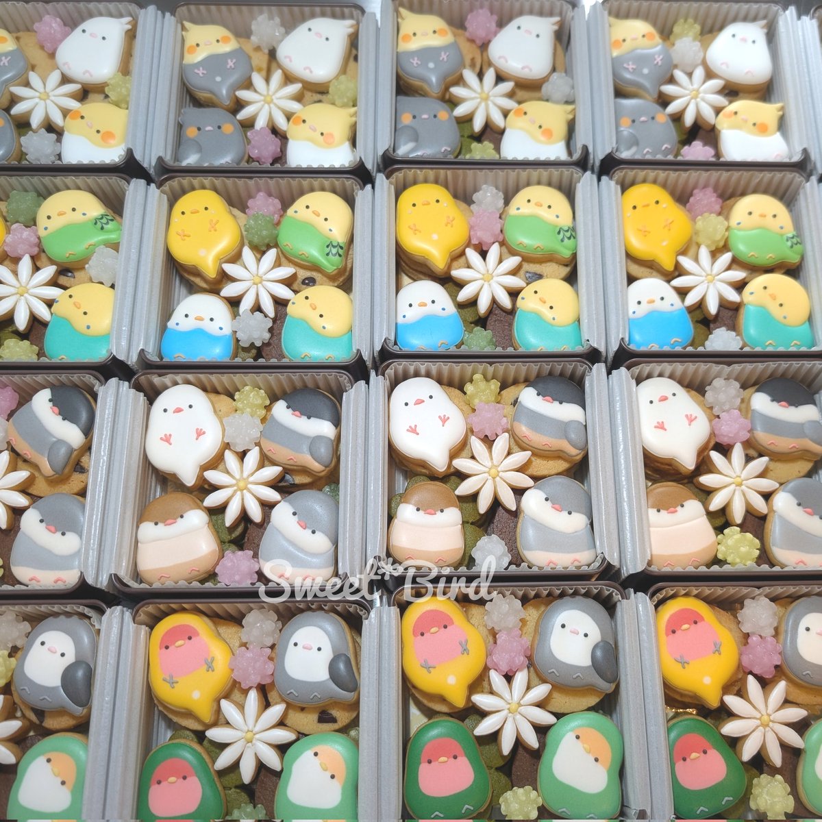 SweetBird_sana's tweet photo. 昨日より販売を開始いたしましたミニインコクッキー缶をご購入いただきありがとうございます!
まだ在庫がございますのでよろしくお願いいたします✨️
CHOOSEBASE SHIBUYAでは新作ミニコザクラクッキー缶が販売中です!
よろしくお願いいたします😊
#CHOOSEBASE #インコクッキー https://t.co/j9bdYn5mqt