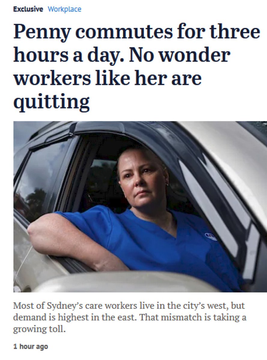 discocat tweet media