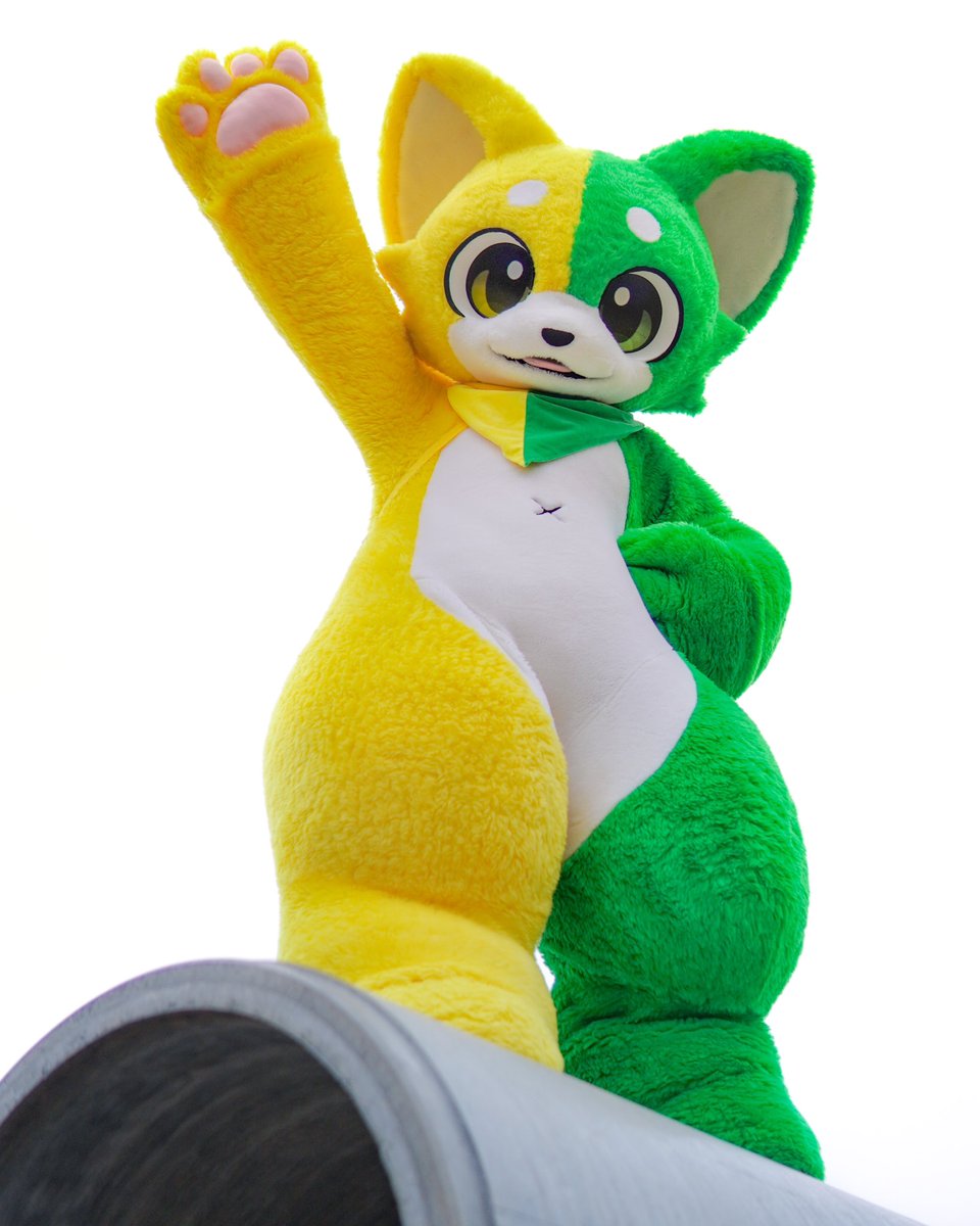 夢は大きく！あっ…"(∩>ω<∩)"
でも最初のハードルは低めがいいかも💦