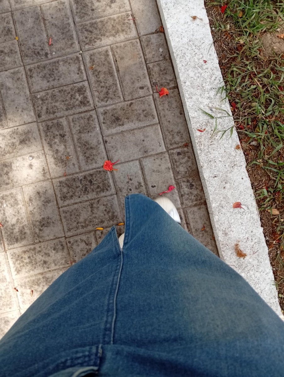 rai !! 𖦹 ׂ 𓈒 tweet media