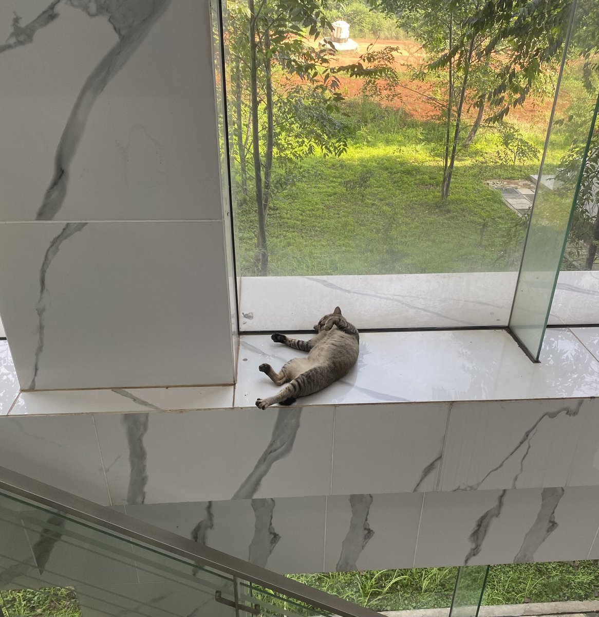 This new Research Assistant is not really working out.