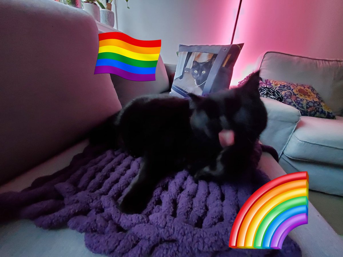 Tew all 2SLGBTQIA+ fwendz, we iz luffu yews and supawt yews! 🐾🖤🐈‍⬛🏳️‍🌈🌈