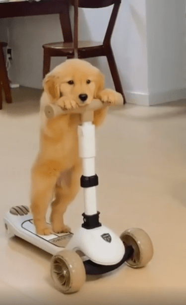 Realgae .. (@i1sangdotcom) on Twitter photo 