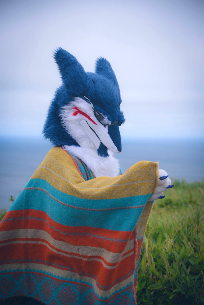 旅人風✨️

#ケモノをみて今週もがんばりマンデー
#犬工房

📸🙏<a href="/shuttle_drive/">しゃとる （雷鳥の人🦃📸）</a>