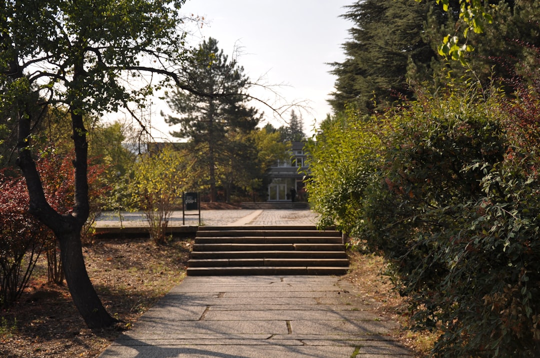 meentncp's tweet photo. Sakaiの公園は夏でも涼しくて最高！最近は〇〇でゆったり過ごして、カフェラテも堪能😋。おすすめスポット教えてくれる？ #Sakai  #公園巡り #カフェめぐり https://t.co/touN4Bvm6J