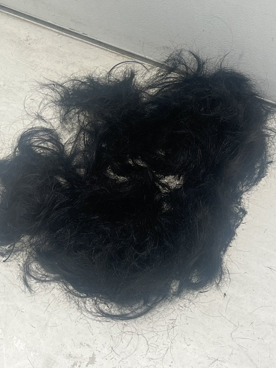 ロン毛の諸君から届いたリアルな反応集
・裏切り者が
・見損なった
・どうして
・絶交だ
・オイオイオイ
・いつまでも待ってる
・坊主にしたの？