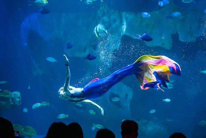 #อความเรียมฮีลใจ

"โซนนางเงือกเปิดแล้วน้าา~ มาดูโชว์นางเงือกกัน ถ่ายรูปได้เลย"

"ข้อความคือ: ใส่วันที่ท้อหรือหมดกำลังใจยังมีคนคอยอยู่ข้างๆเสมอแม้เขาจะไม่เปิดเผยตัวก็ตาม✨"