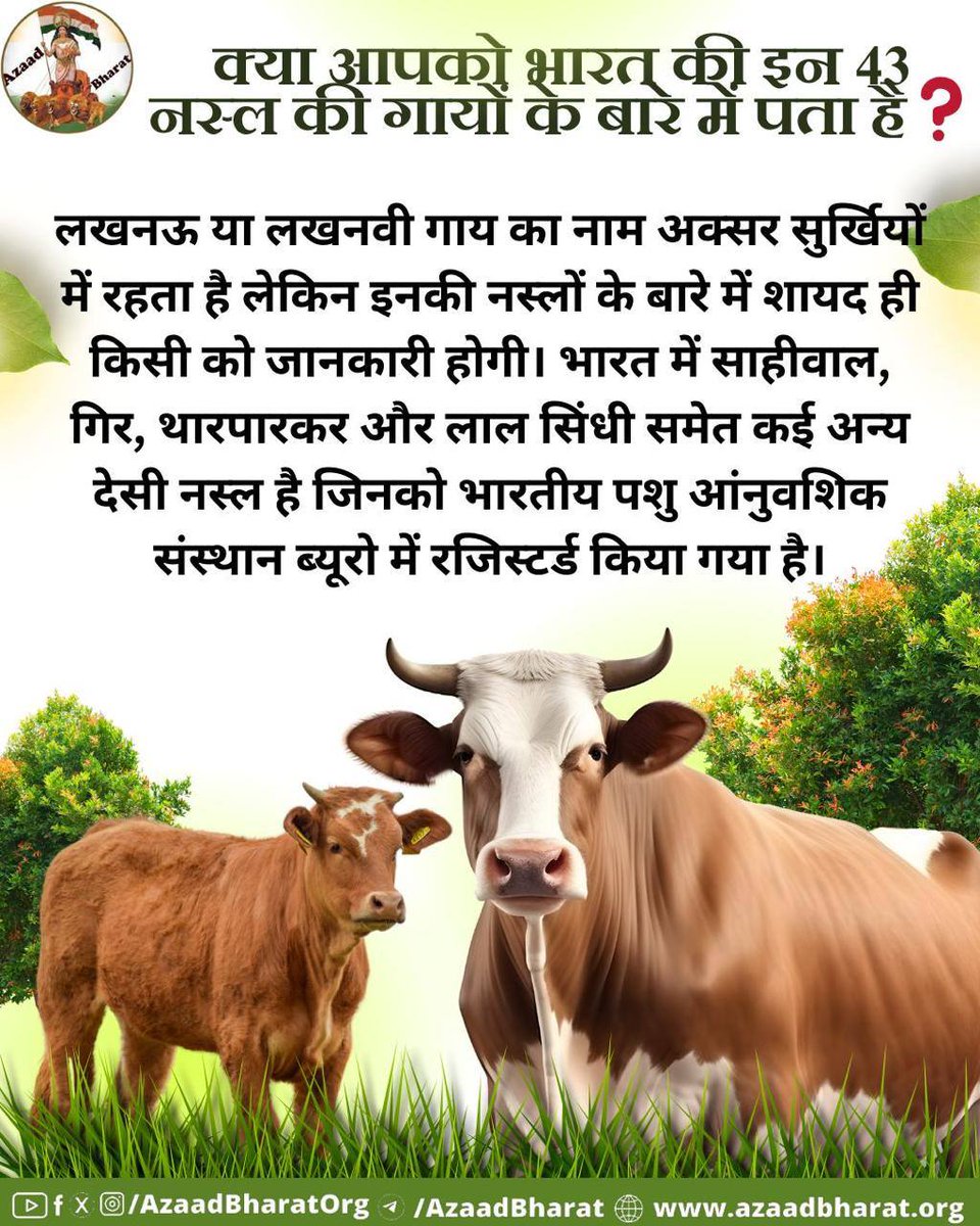 #DesiCow
Countless Benefits
Sant Shri Asharamji Bapu  - गायो को हम नही पालते बल्कि दूध, दही, मक्खन आदि बहुमूल्य पदार्थ देकर गाय हमारा ही पालन पोषण करती है, हमारी आजीविका ठीक से चलती है
Gau Dhan के सहारे❗