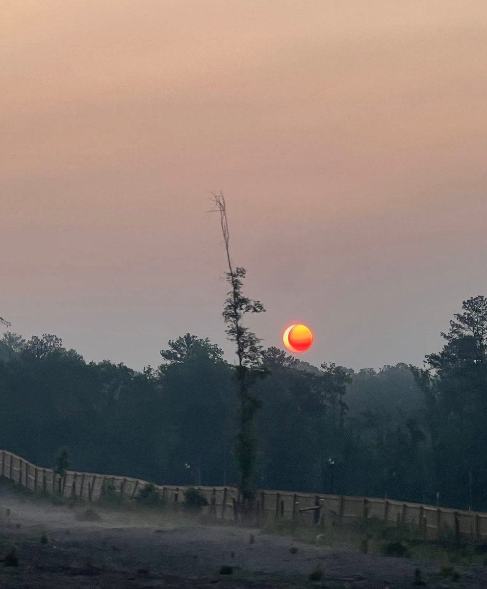 Jere_Memez tweet media