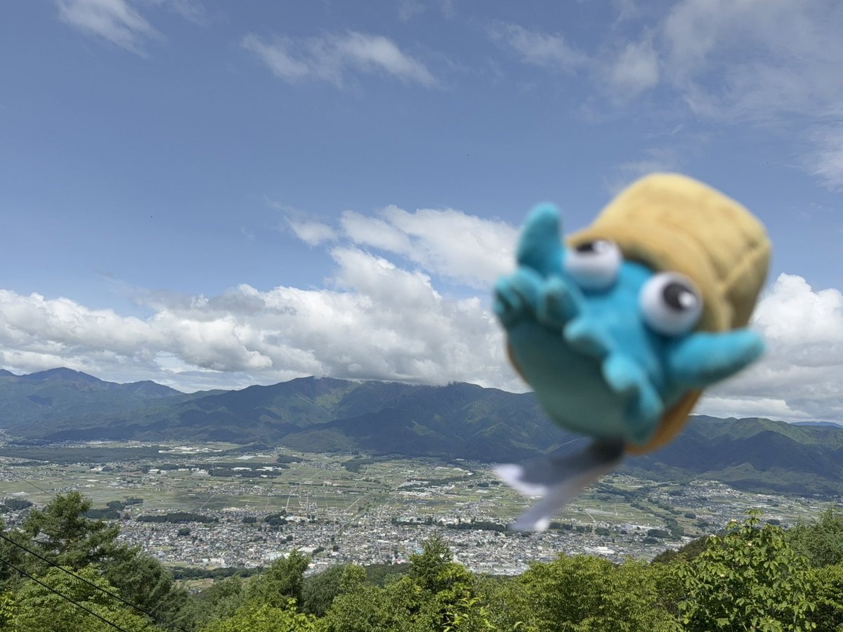 inusarukishi's tweet image. 長野県で全日本オムナイト投げ部