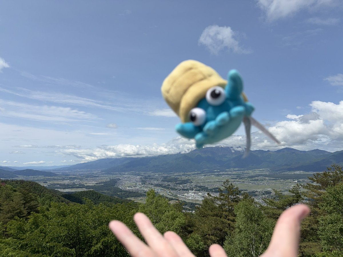 inusarukishi's tweet image. 長野県で全日本オムナイト投げ部