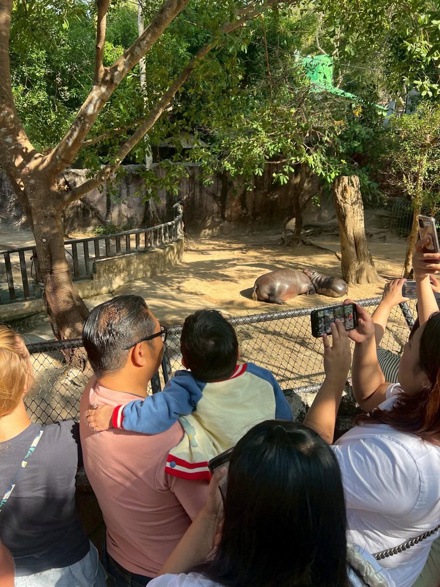 Farewell "Nong Auto"
Khamoo and The Gang, the official FB page of Moo Deng, the famous pygmy hippo, on Monday morning expresses condolences to the family of "Nong Auto", a 6-year-old boy, who passed away due to cancer, and recalled the boy's last wish of wanting to see Moo Deng