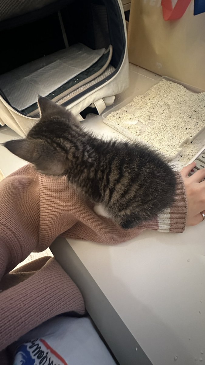 언니 팔저리다 피크야
#더덕하숙_피크