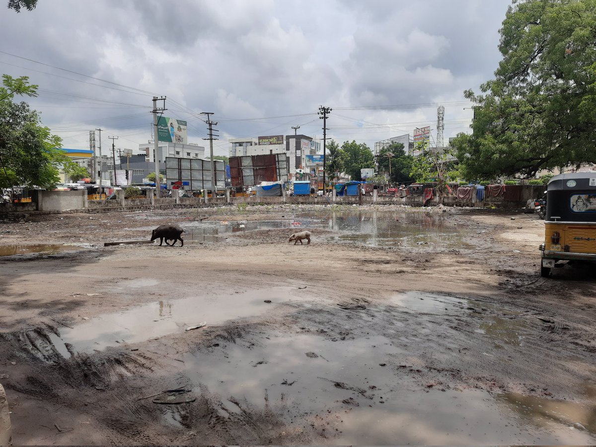 pathiseenu's tweet photo. Dear Sir, this is the current situation of Jagtial bus stand (new) on the South-East corner. To improve  &amp; maintain this area daily basis, we have a proposal for RTC in which we can generate self-employment for ourself and certain revenue for RTC. Pls let us know if u agree. Tq. https://t.co/AdVxPikfFO