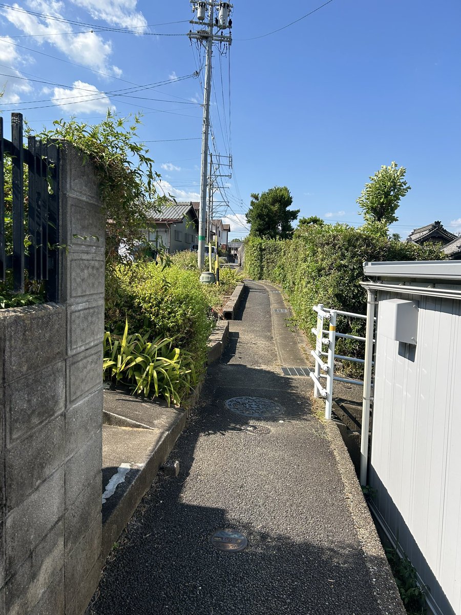 iiroji_bot's tweet image. 