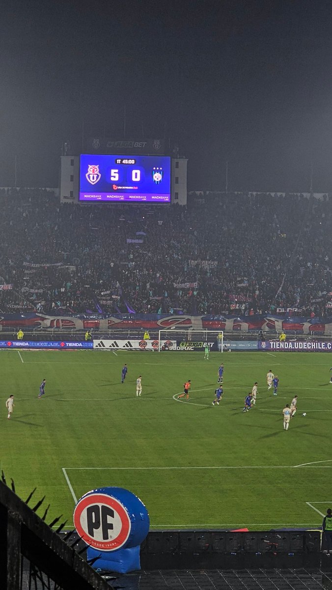 eylusium tweet media