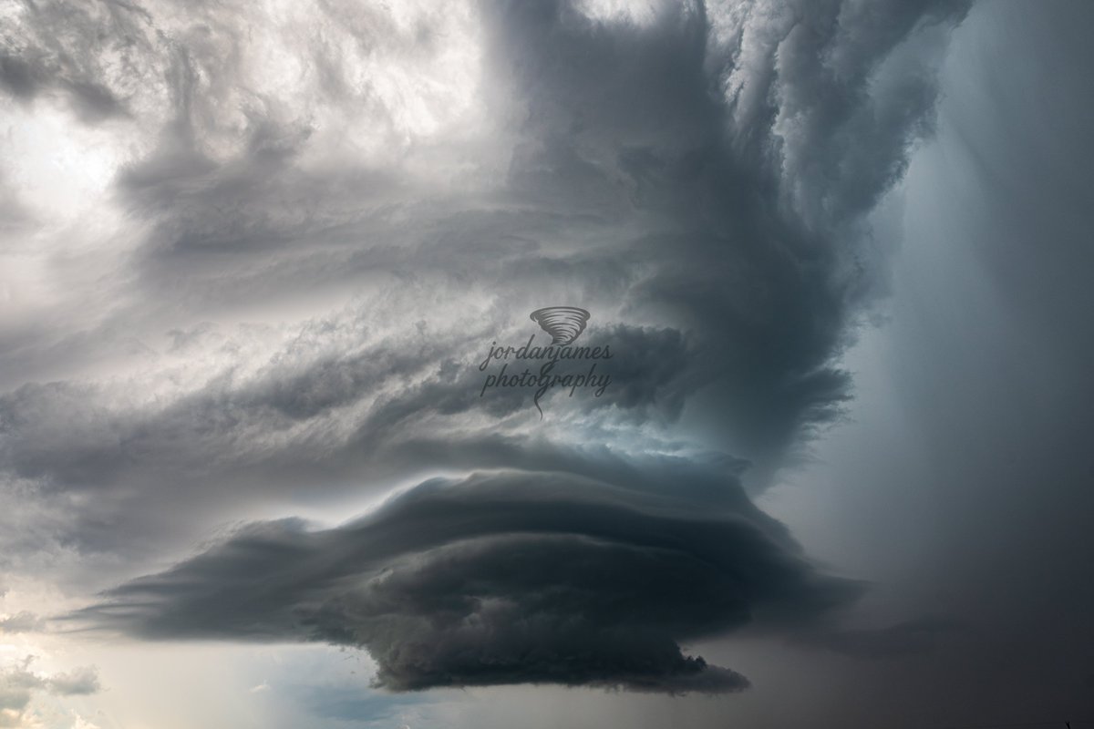 Jordan McClellan💯 tweet media