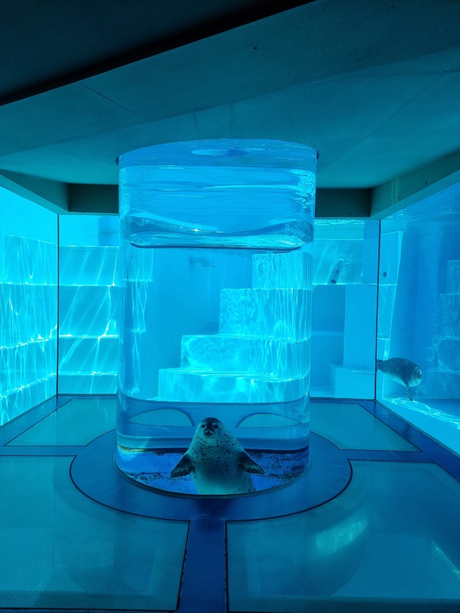 うみなか行きたい