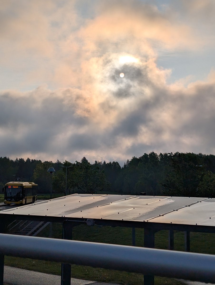 gamedin_77's tweet image. Se på fan, vi kom i väg i dag med. God morgon världen ☕

#oftoworkwego✅