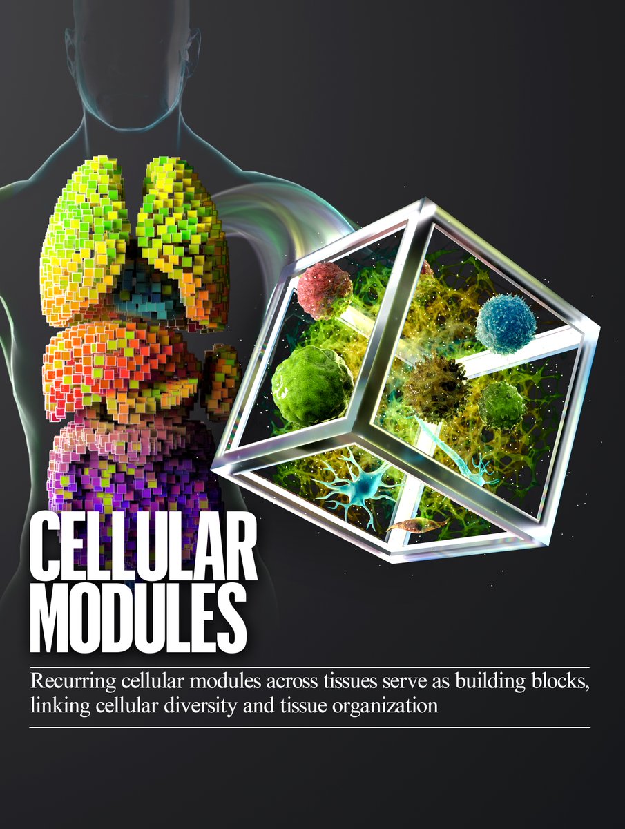 ZeminZhangLab tweet media