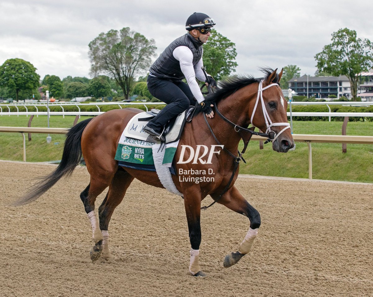 Daily Racing Form (@dailyracingform) on Twitter photo 👀 👀 Some great shots of Journalism out on track Sunday morning at Saratoga getting ready for the <a href="/BelmontStakes/">Belmont Stakes</a> !
📷 <a href="/DRFLivingston/">Barbara D. Livingston</a> 👀 👀 Some great shots of Journalism out on track Sunday morning at Saratoga getting ready for the <a href="/BelmontStakes/">Belmont Stakes</a> !
📷 <a href="/DRFLivingston/">Barbara D. Livingston</a>