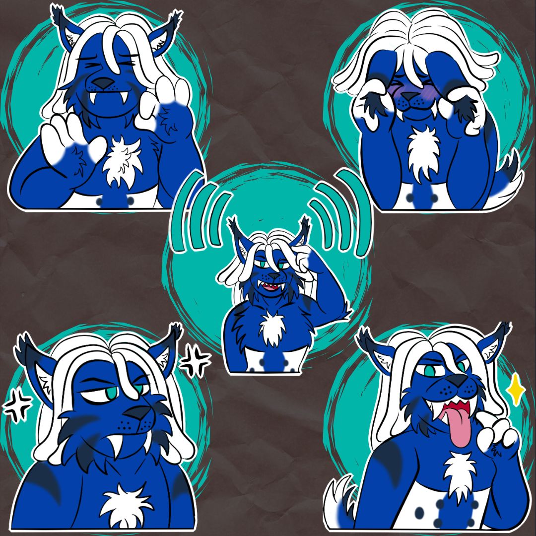 Valeria 🐈 tweet media