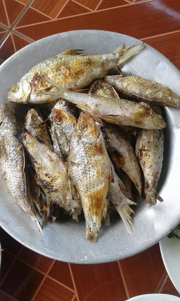 WDWD1696315's tweet photo. ຮອດໂມງແລ້ວ ກິນເຂົ້າສວຍເດີ່ https://t.co/GyIdTKfJSH