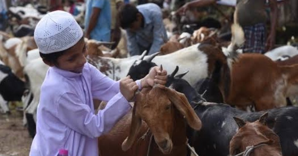 Amitosh Pareek (@amitoshpareek) on Twitter photo Where is PETA. No action on slaughtering of animals in the name of Festival ?
<a href="/ocjain4/">Ocean Jain</a> <a href="/kaliyug_wale/">गुरुजी ( कलियुग वाले )</a> <a href="/AnchorAnurag/">Anurag singh</a> <a href="/mukeshkrd/">Mukesh Kumar</a> <a href="/hindupost/">HinduPost</a> <a href="/eOrganiser/">Organiser Weekly</a> Where is PETA. No action on slaughtering of animals in the name of Festival ?
<a href="/ocjain4/">Ocean Jain</a> <a href="/kaliyug_wale/">गुरुजी ( कलियुग वाले )</a> <a href="/AnchorAnurag/">Anurag singh</a> <a href="/mukeshkrd/">Mukesh Kumar</a> <a href="/hindupost/">HinduPost</a> <a href="/eOrganiser/">Organiser Weekly</a>