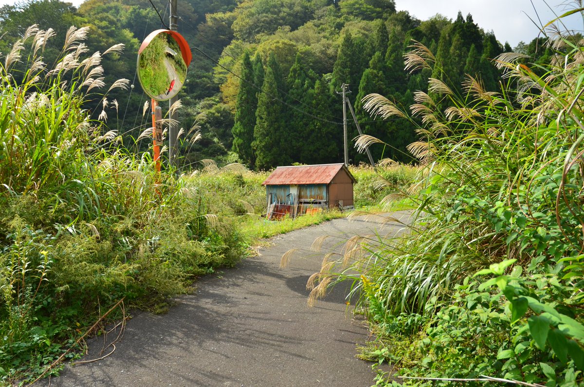 【今後の予定】
『10月』
4日(土)穂谷彼岸花予備日
5日(日)初桜酒造
11～12日(土日)東鉢伏夜ロケ&amp;炎
18日(土)杭瀬スタジオ
19日(日)竜山石採石場
25日(土)穂谷里山ロケ 秋桜
26日(日)余呉の集落
「lacorolle2000.wixsite.com/lacorolle-web」
#ラコロール
#ラコロール初桜酒造
#ラコロール東鉢伏夜ロケ