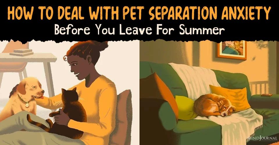 TheMindsJournal's tweet image. 🏖️ Headed out for summer travels? Don’t forget your furry friend’s feelings!
 Learn how to ease their stress before you go-themindsjournal.com/how-to-deal-wi…

#PetCare #SeparationAnxiety #SummerTravelTips #MindJournal #HappyPets