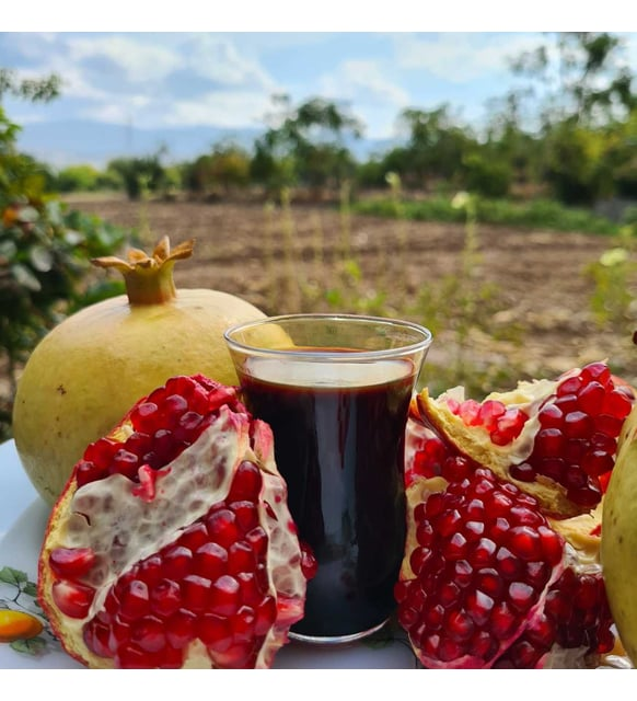 Günaydın canlar...
Hepimiz için bereketli, uğurlu, huzurlu bir hafta olsun..
. Soğuk sıkım zeytinyağı
. Doğal yeşil ve siyah zeytin
. Doğal nar ekşisi
. Manisa asma yaprağı
SİZ İSTEYİN BİZ GÖNDERELİM...