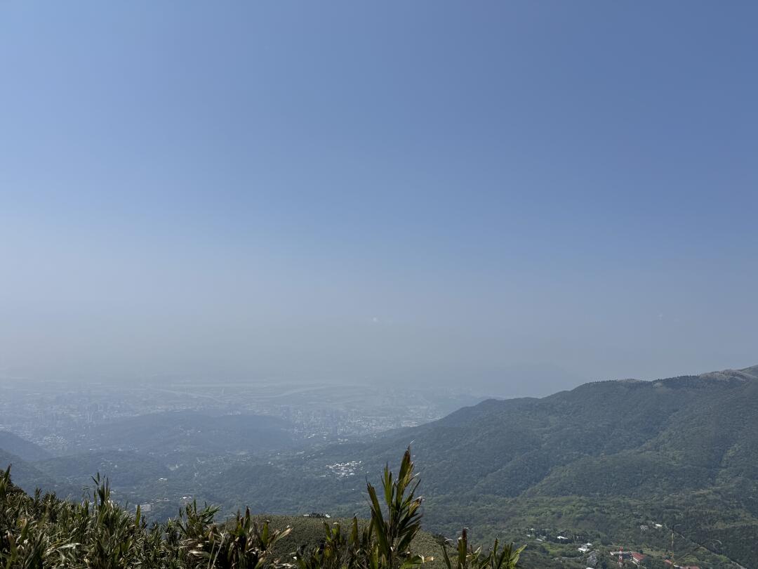 一歩一歩、目標に向かって前進。🚶‍♀️🚩