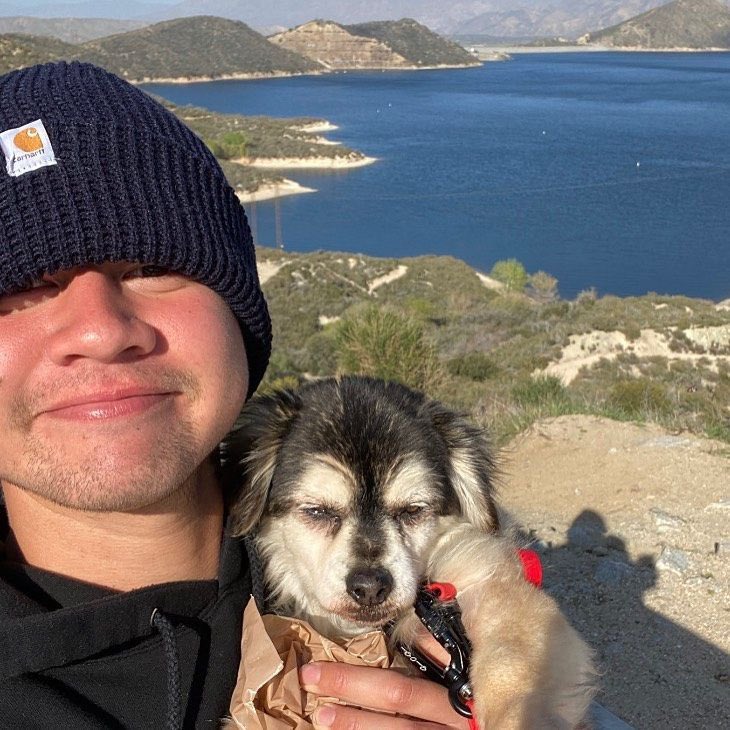 strxngerlies's tweet photo. gracias Duke por haber hecho tan feliz a Calum todos estos años y gracias a Calum por compartir todos esos bonitos momentos con nosotros 🥹 lo atesoraré por siempre en mi corazón https://t.co/ED6lLFqho1