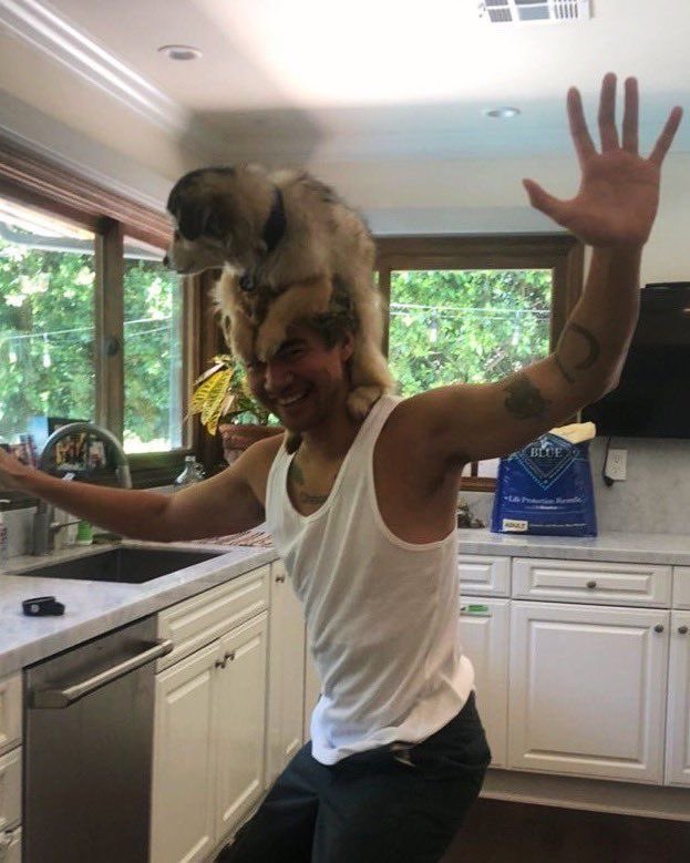strxngerlies's tweet photo. gracias Duke por haber hecho tan feliz a Calum todos estos años y gracias a Calum por compartir todos esos bonitos momentos con nosotros 🥹 lo atesoraré por siempre en mi corazón https://t.co/ED6lLFqho1